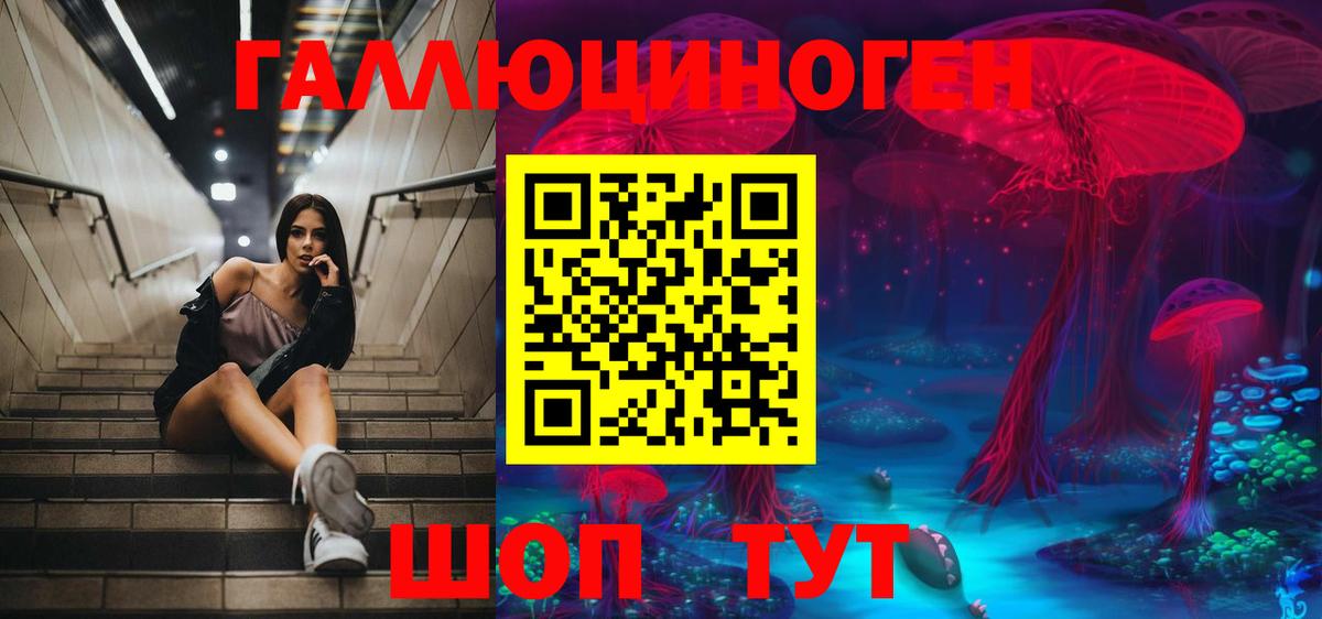 закладка  Псилоцибиновые грибы MAGIC MUSHROOMS  Псилоцибиновые грибы ЛСД  Вход с VPN  Майкоп 
