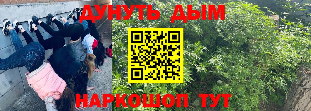 МАРИХУАНА сатива  МАРИХУАНА конопля  Майкоп  Каннабис тримм  Вход с VPN  Канабис Ganja 